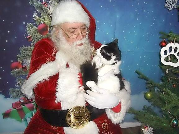 Nine month old “Panda” from Beacon, tried hard to have a talk with Santa. The kitten was brought to the shelter