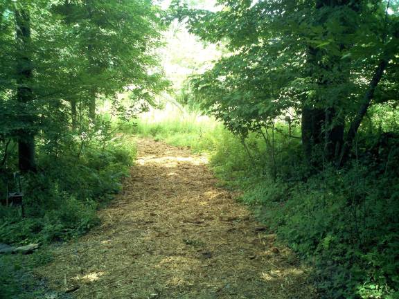Barryville Arts will host a plein air painting event on July 11 at Backyard Park