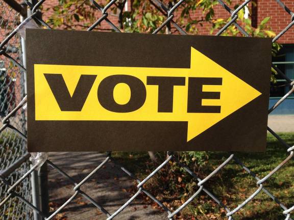 Chester voters will decide on two referendums on the ballot this November.