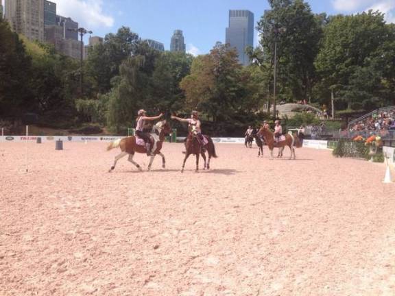 The local equestrians in Central Park.
