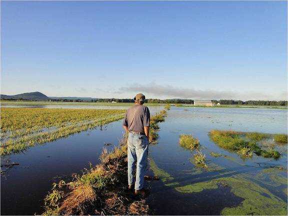 Richard Pawelski, Chris's father, looks out over his onion fields after Hurricane Irene in 2011 wiped out his crop. (Photo: USDA)