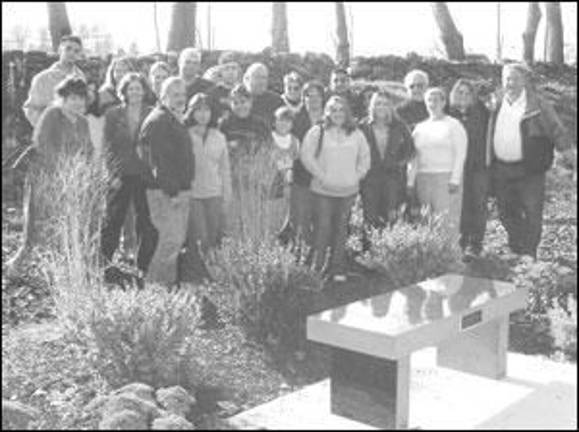 A place to sit and think of Sean