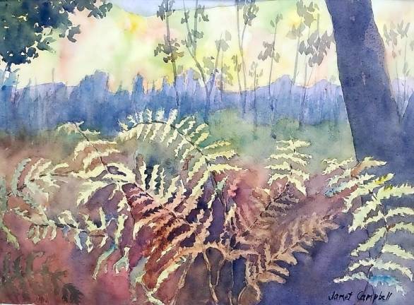 Tall Ferns by Janet Campbell