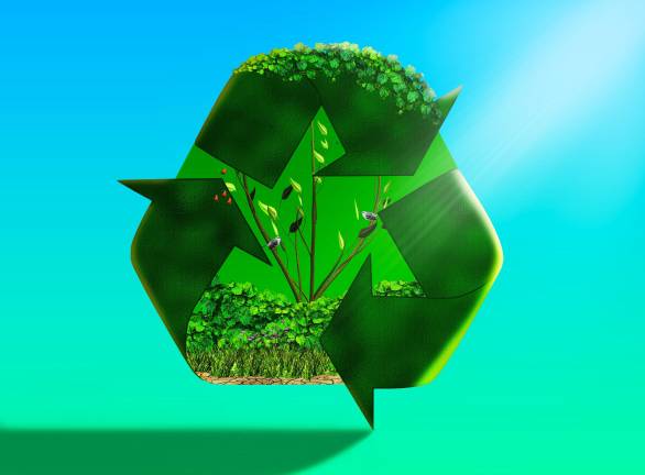 DEC launches Sustainable Business Navigator program