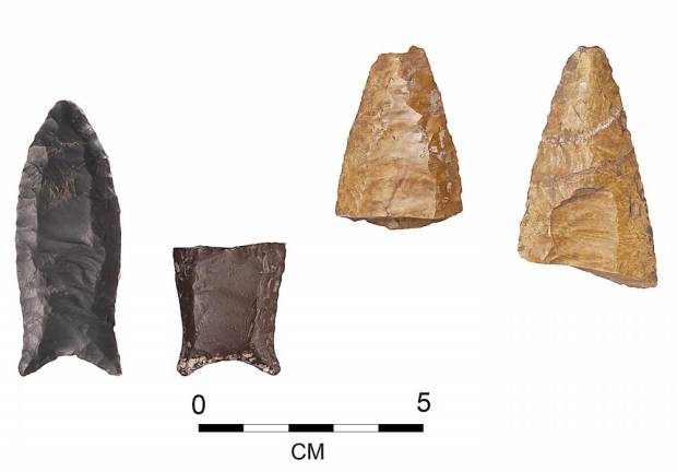 Complete fluted point (left) and three fluted point fragments from the Dutchess Quarry Caves archaeological site, Orange County. Made of chert (flint), these stone points tipped Ice Age hunting weaponry.