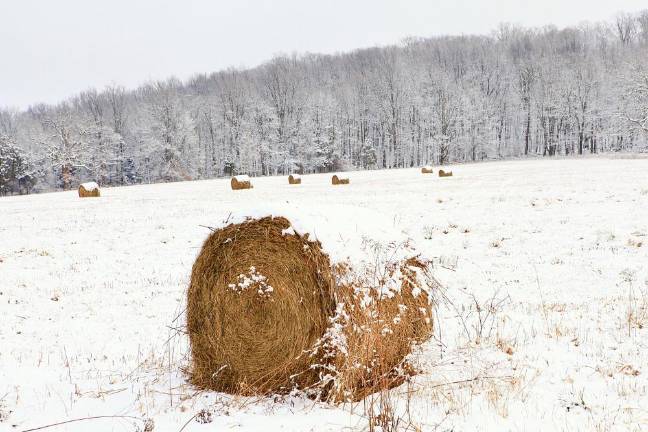 Photographer William Dimmit shared this image he took along Kings Highway in Sugar Loaf during the first snowfall of the new year last Sunday. Let it serve as a reminder of Orange County’s roots.