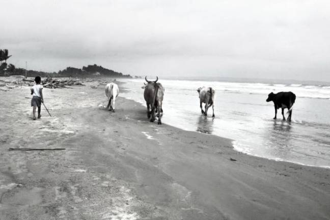 Latin American Series: Black and white photo of young herder.