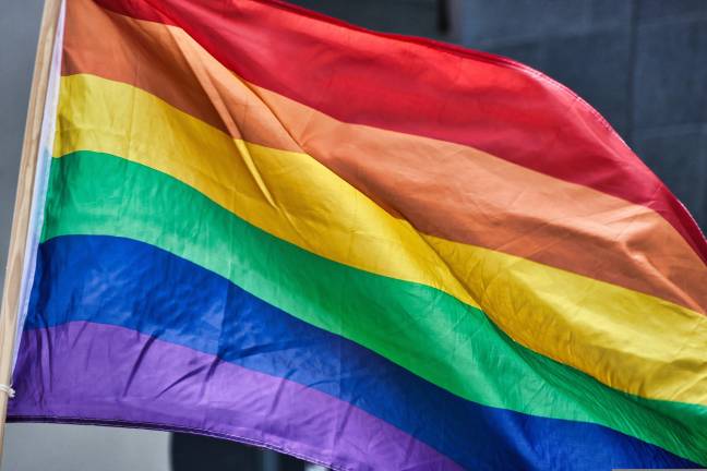 DVAA to host first Pride Family Picnic
