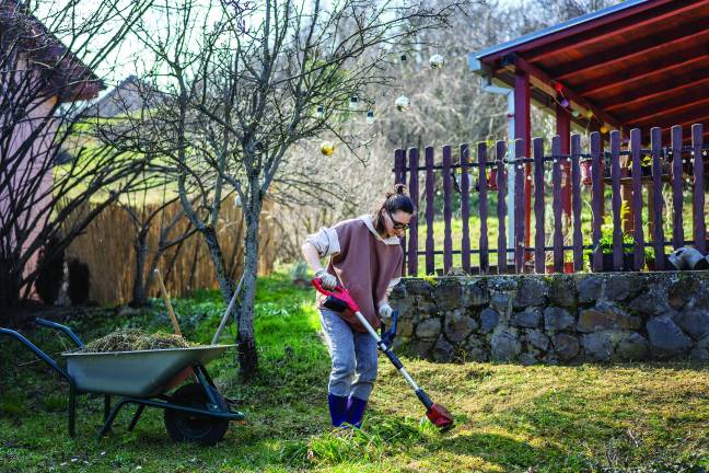 Ready, set, spring: 5 smart early-season yard tips