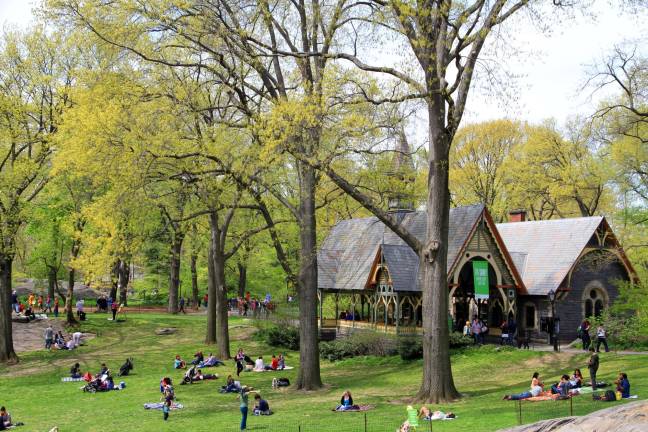 Central Park is one of the city's most well-funded parks; its conservancy says it would support a bill to make park funding more transparent.
