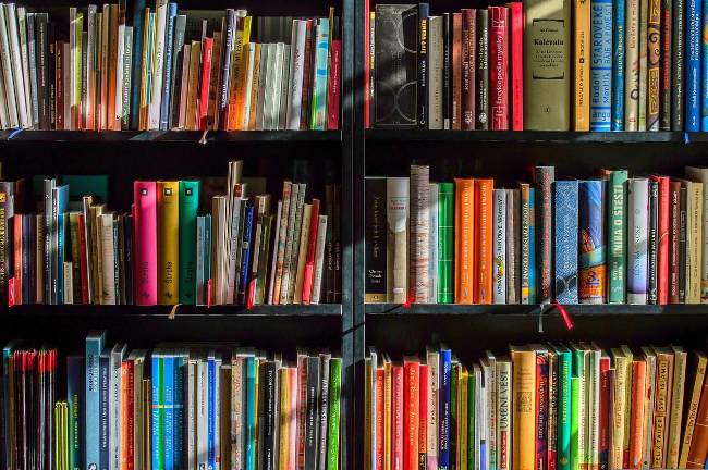 Library Roundup