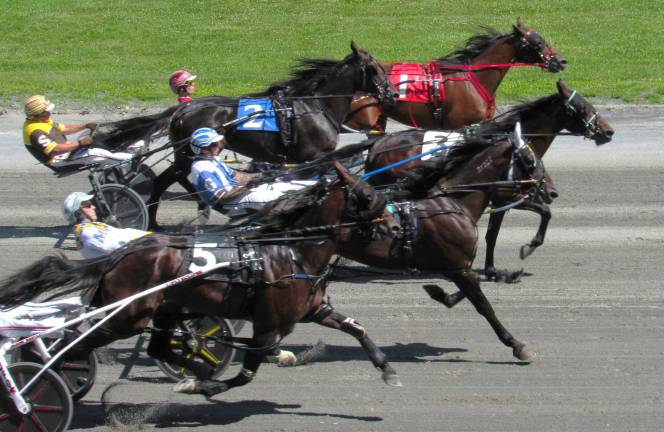 Harness Racing and the Great American Weekend