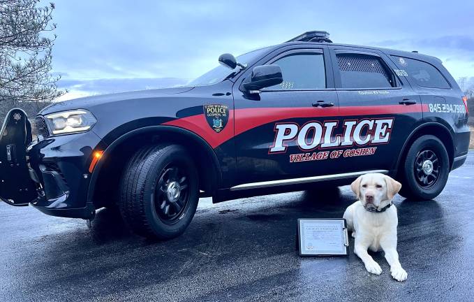K-9 Walker was a top performer at United States Police Canine Association Region 7 Detection Trials.