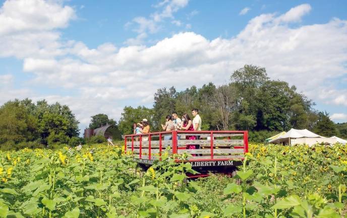 There are many spots to stop for photos along the maze, including the Liberty Farm overlook farm stand. (Photo by Sammie Finch)