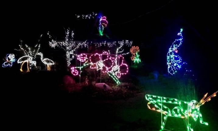 “Holiday Lights in Bloom” from previous years.