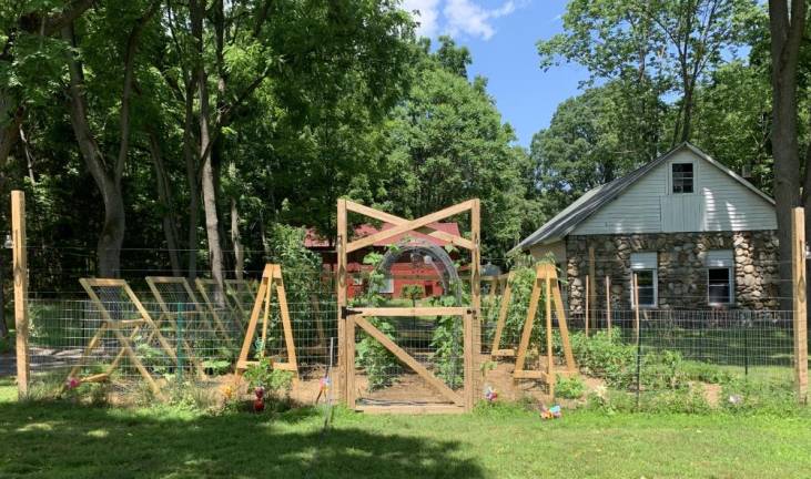 Warwick resident Nicole Hixon’s garden. When voting for their favorites, garden hoppers noted that Hixon’s garden “felt like a special place,” and was both productive and beautiful.