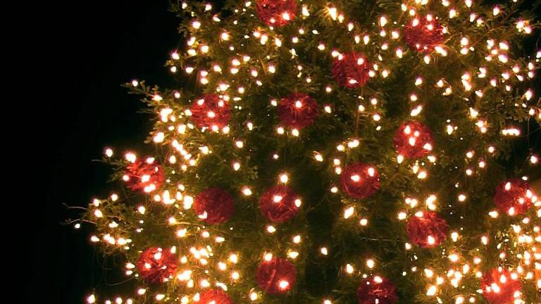 Historical Society hosts annual tree lighting event