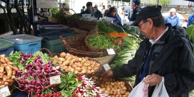 (Photo: Cornell Cooperative Extension: cce.cornell.edu)