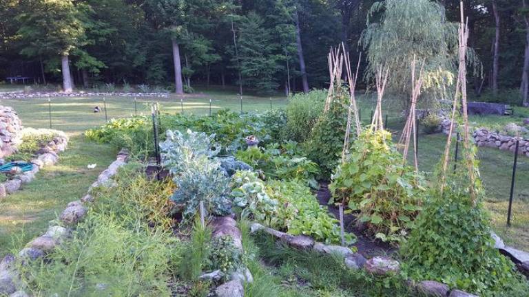 The Bowers’ garden in Tuxedo Park won second place. This year, the garden produced so much food that they were able to donate surplus to families hard-hit by the pandemic.