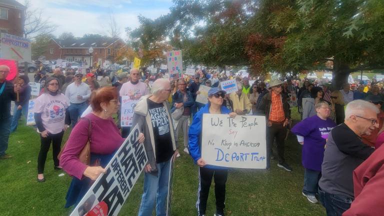 Hundreds rally at Village Green ‘No Kings’ protest