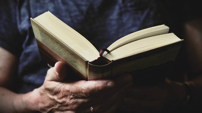 Library Roundup