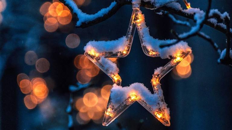 ‘Holiday Lights in Bloom’ program