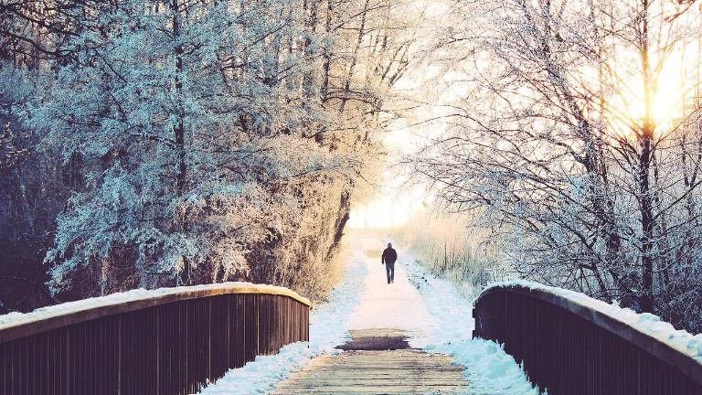 First Day Hikes coming soon