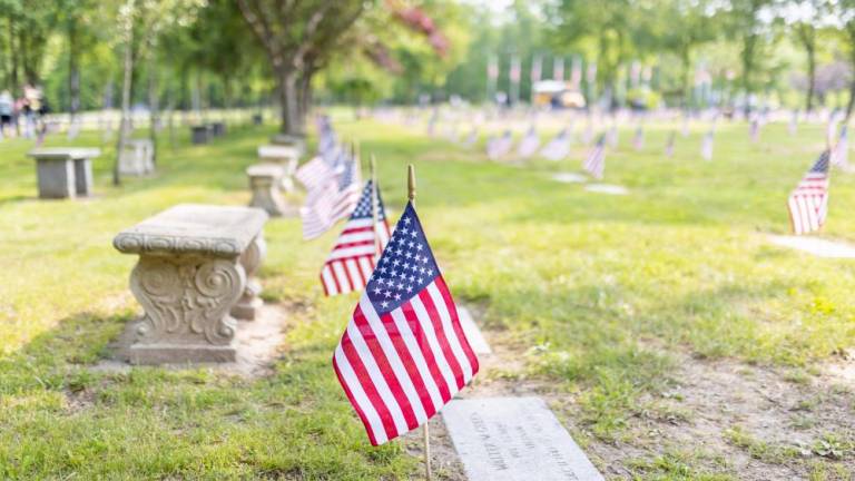 Flags along the fallen in the Veterans Memorial Cemetery in Goshen, NY. Photo by Sammie Finch