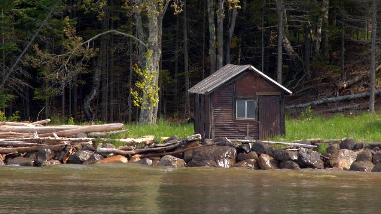 New Camp Clover offerings this summer