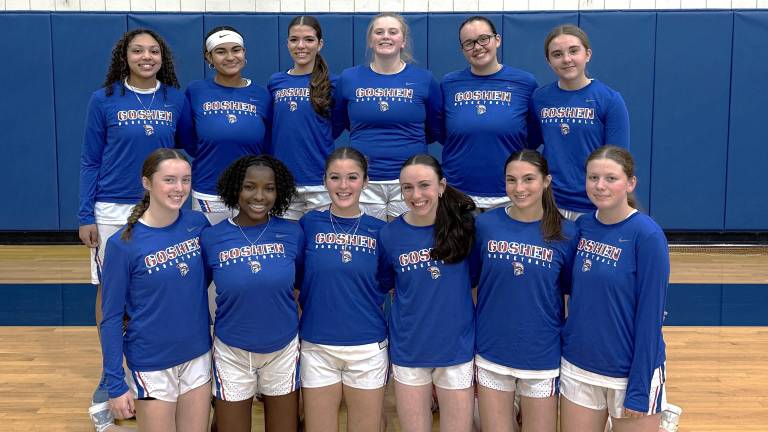 Girls basketball season preview