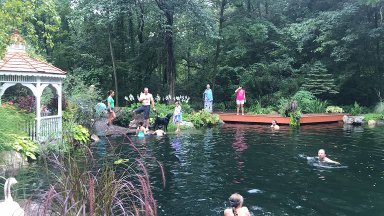 A swimmable pond is one of five different water features guests can visit during Garden State Koi’s pond tour. Photo provided.