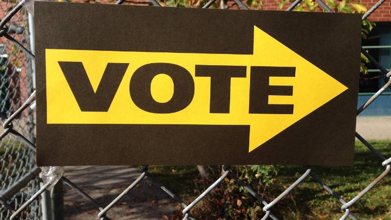 Chester voters will decide on two referendums on the ballot this November.