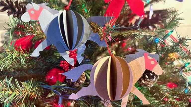 A few horse ornaments to liven up the tree.