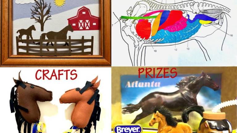 4-H Day at the Harness Racing Museum