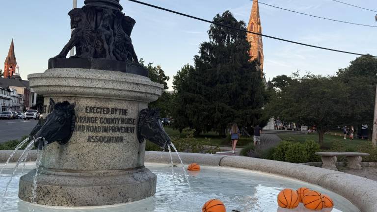 Mini basketballs floating in Harriman Fountain. Photos: Molly Colgan