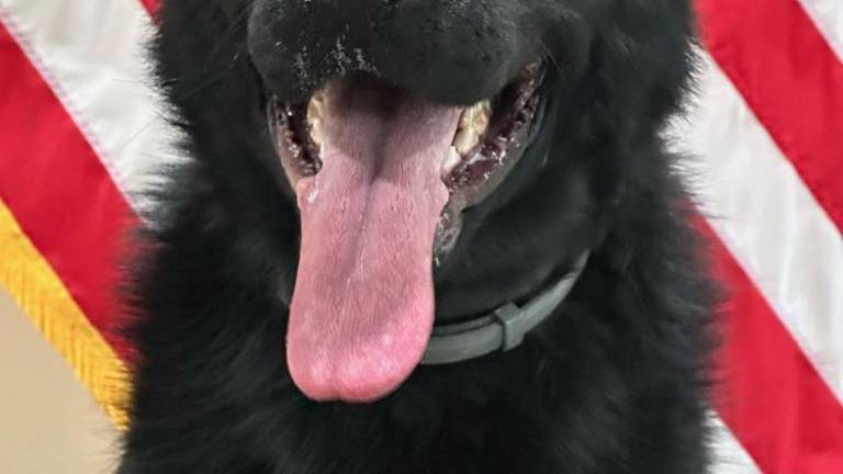 Chester PD K9 Officer Lou will soon have his own body armor.