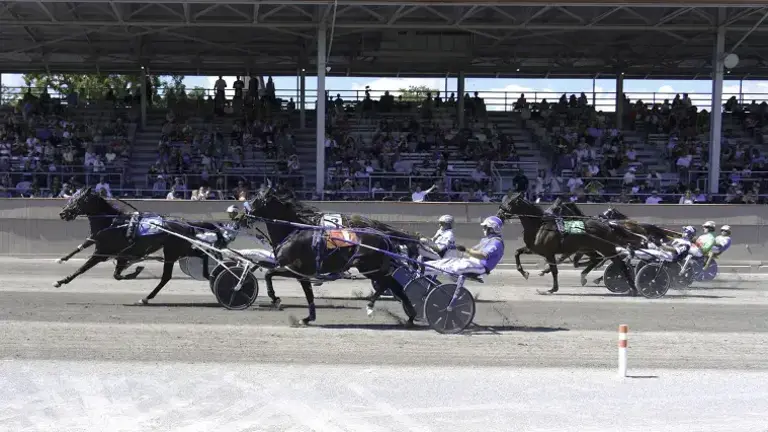 The Harness Racing Museum and Hall of Fame in Goshen, N.Y., will be open during the races at Goshen Historic Track on Sunday, Sept. 6, and also on Labor Day, Monday, Sept. 7.