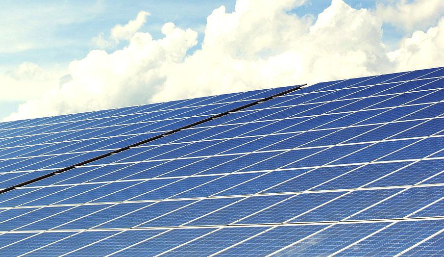 Solar project delayed due to tree mitigation issues - Vimarsana News
