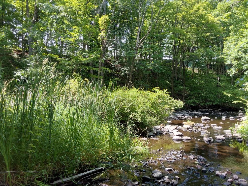 New conservation agreement protects 179 acres in Goshen, Chester
